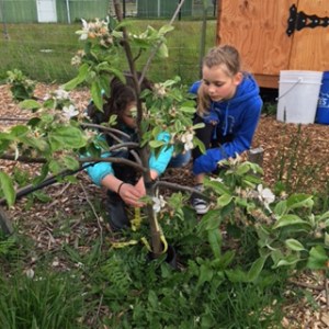 Project Photo, Math and Maritime Place-Based Learning