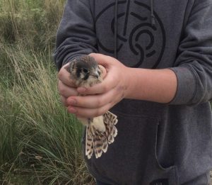 Students developed awareness of large scale citizen science while being immersed in hands on experiences, project photo